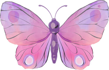 Watercolor colorful butterfly, isolated butterfly on transparent background, png. Butterfly spring, summer illustration