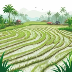 Gardinen Ricefield Cartoon Design Very Beautiful © BAIM