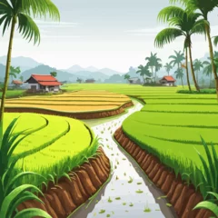 Foto op Canvas Ricefield Cartoon Design Very Beautiful © BAIM
