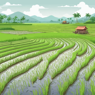 Ricefield Cartoon Design Very Beautiful
