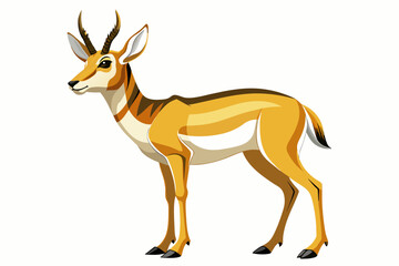 Pronghorn vector with white background.