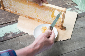 man cuts honeycombs from a honey frame with a knife for eating for tea, honey in honeycombs is good...