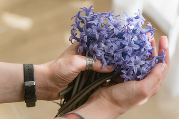 A bouquet of field blue flowers in the hands of a girl. Mouse hyacinth.