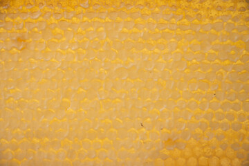 full frame with honeycombs with honey, organic enriched beekeeping product for healthy eating,...