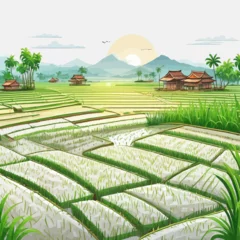 Gartenposter Ricefield Cartoon Design Very Beautiful © BAIM