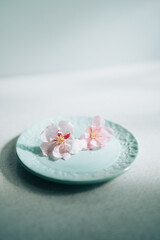 Fototapeta na wymiar 青いお皿の上に乗っている桜