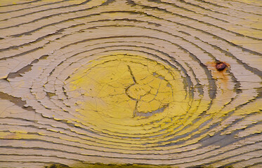 wooden board with cracked yellow paint