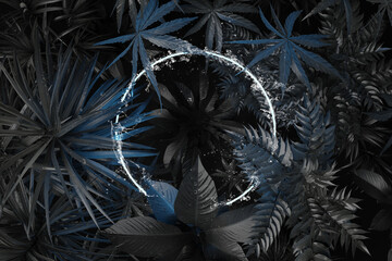 Circle shape in splashing water over tropical plants. Flat lay of minimal nature style concept. 3D Rendering