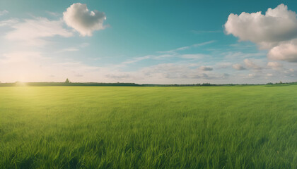 Obraz premium Green field of cut grass into and blue sky beautiful natural scenic panorama 3