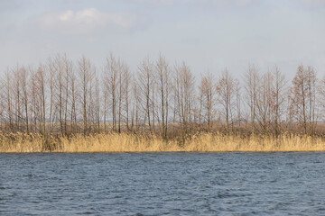 waves on the surface of the river in sunny weather