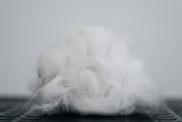 lump of white cat hair