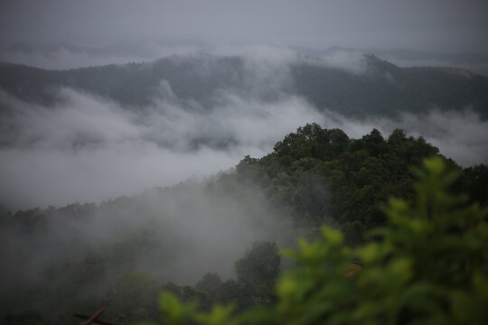 selective focus Mountain forest in thick rainy season mist Gives a cool and moist feeling. The rainy season fog landscape background image looks gloomy.