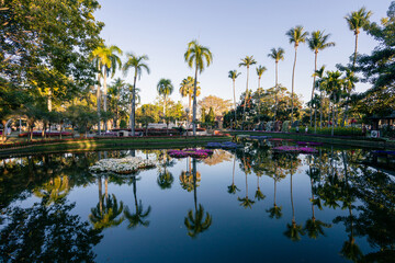 Landscape in the park, pond, and reflection in the pond, shady trees, bright flower garden Coconut...