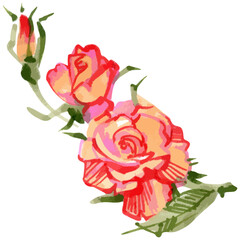 Vector sketch markers illustration of rose flower sketch isolated on white background.