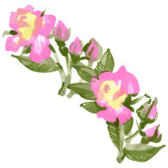 Vector sketch markers illustration of rose flower sketch isolated on white background.