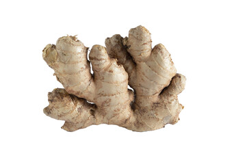 Ginger root on isolated background.