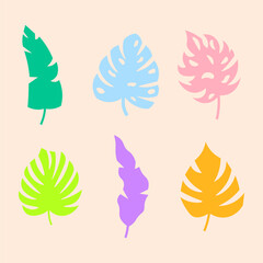 Fototapeta na wymiar Tropical leaves, set of colorful silhouettes, vector illustration.