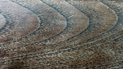 close up of an wooden texture