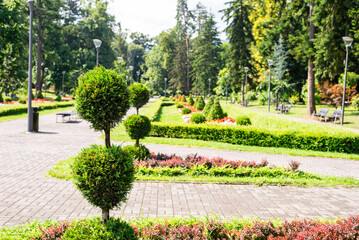 Public park with lush flowers, trees and bushes in summer
