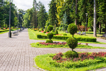 Public park with lush flowers, trees and bushes in summer
