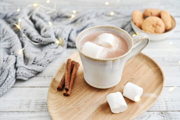 Mug with cocoa and marshmallow