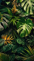 Tropical foliage in a rectangle frame