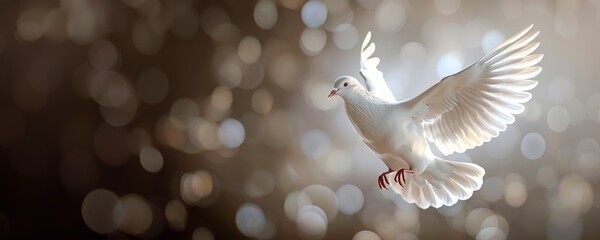 Peaceful white dove in flight, with soft, glowing light, offering hope in a divided world