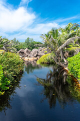 Fototapeta na wymiar La Digue freshwater pond, Seychelles