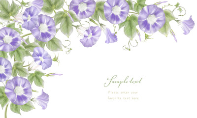 水彩で描いた紫のアサガオのフレーム（ポストカード）