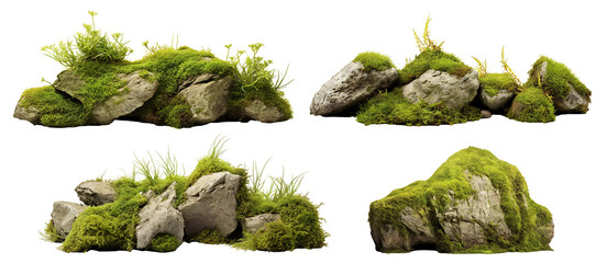 Set of moss-covered rocks in natural settings, cut out - obrazy, fototapety, plakaty