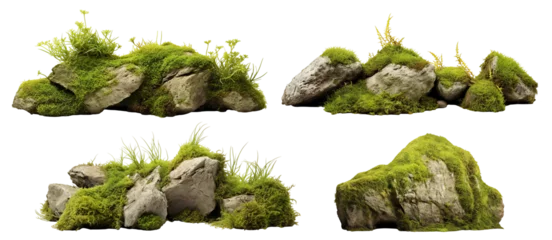 Fototapeten Set of moss-covered rocks in natural settings, cut out © Yeti Studio