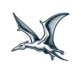 pteranodon hand drawn vector dinosaur illustration