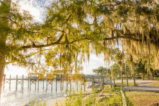 Fototapeta Scenic view of a picturesque lake with a peaceful pier and lush  in Fairhope, Alabama