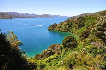 Obraz na płótnie Canvas Breathtaking view of the winding waterways of the Marlborough Sounds. New Zealand.