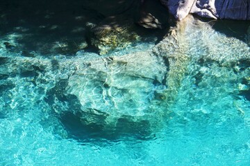 Crystal clear glacier water at the Blue Pools in New Zealand.