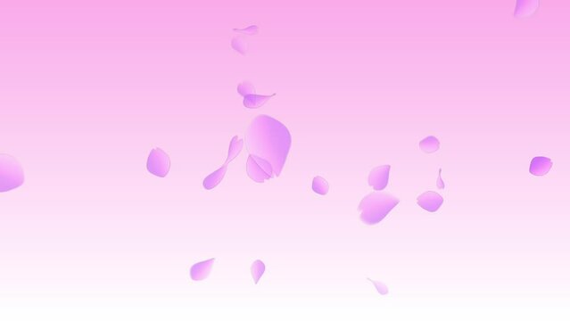 さくら　小 　ピンク背景