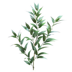 Obraz premium bamboo branch with leaves