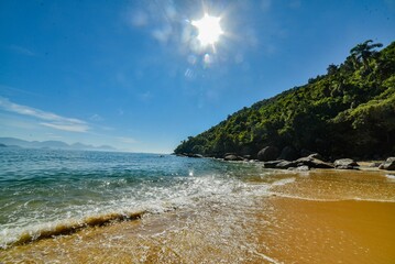 Scenic beach with rolling waves lapping the shoreline and lush green trees on the shore