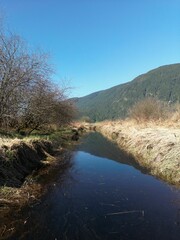 Vertical shot of a body of water with lush mountain in the background