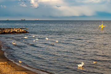 Baltic Sea at the bay of Finland with sun setting on the horizon large ships in the Baltic Sea on the roadstead 