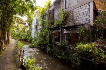 Canal with lush vegetation along its banks in an urban environment