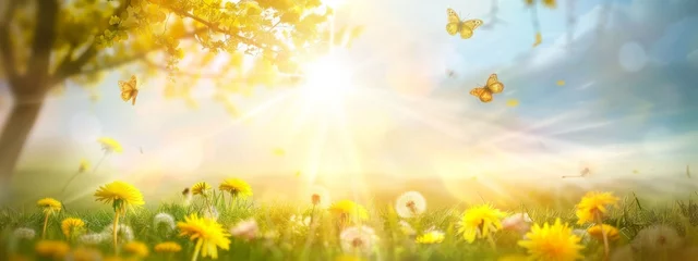 Fotobehang Beautiful spring summer natural landscape with a field of flowering dandelions and butterfly against blue sky with clouds on clear sunny day. © JovialFox