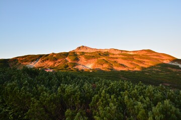 Obraz premium 北アルプス 朝焼けに染まる三俣蓮華岳