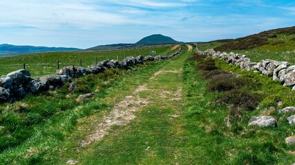 Winding dirt road stretches into the distance, flanked by large rocks and verdant grass, Scotland