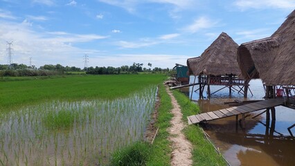 Phnom Russel Luk, Siam Reap, Cambodia, featuring a pathway lined with thatched cottages