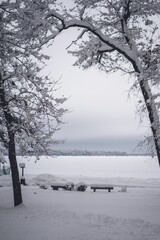 Vertical shot of a winter landscape with a heavy coating of snow covering the ground and trees