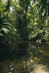 Picturesque landscape of a winding stream surrounded by lush greenery