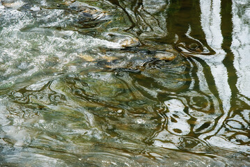 Rzeka Wisła wiosną, Goczałkowice Polska  © Elżbieta Kaps