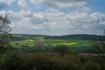 Lush green grassy area with a cloudy sky above and trees in the background