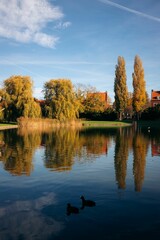 Tranquil lake scene featuring two ducks gliding across the water